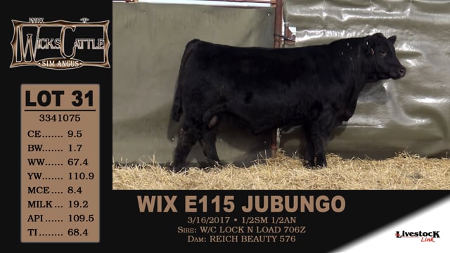 Lot #31 - WIX E115 JUBUNGO
