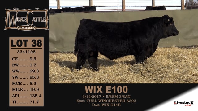 Lot #38 - WIX E100