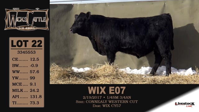 Lot #22 - WIX E07