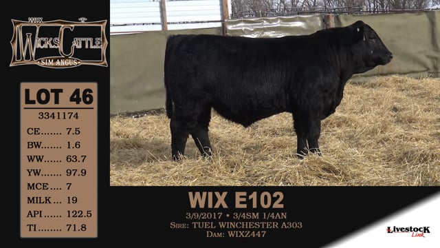 Lot #46 - WIX E102