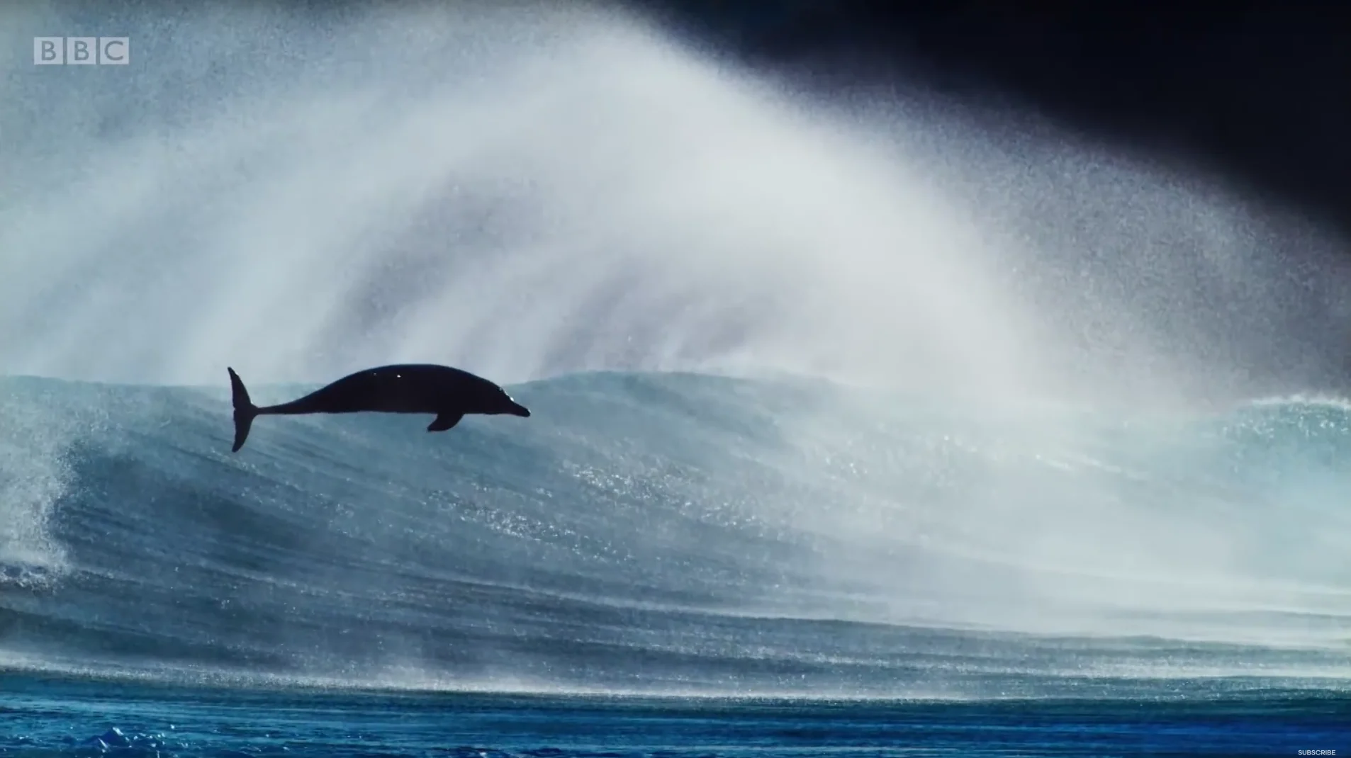 Жизнь в океане видео 6 класс. Жизнь в океане. Голубая Планета bbc. Blue Planet 2. Природа ВВС