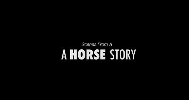 Horse Story Scenes