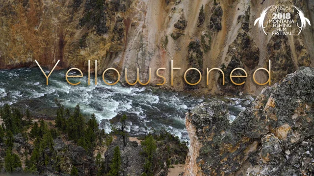 Video: Yellowstoned! - Orvis News