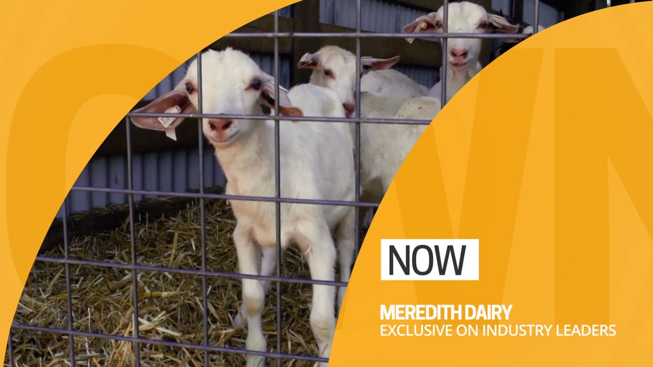 Meredith Dairy | Industry Leaders S05 | Television Segment