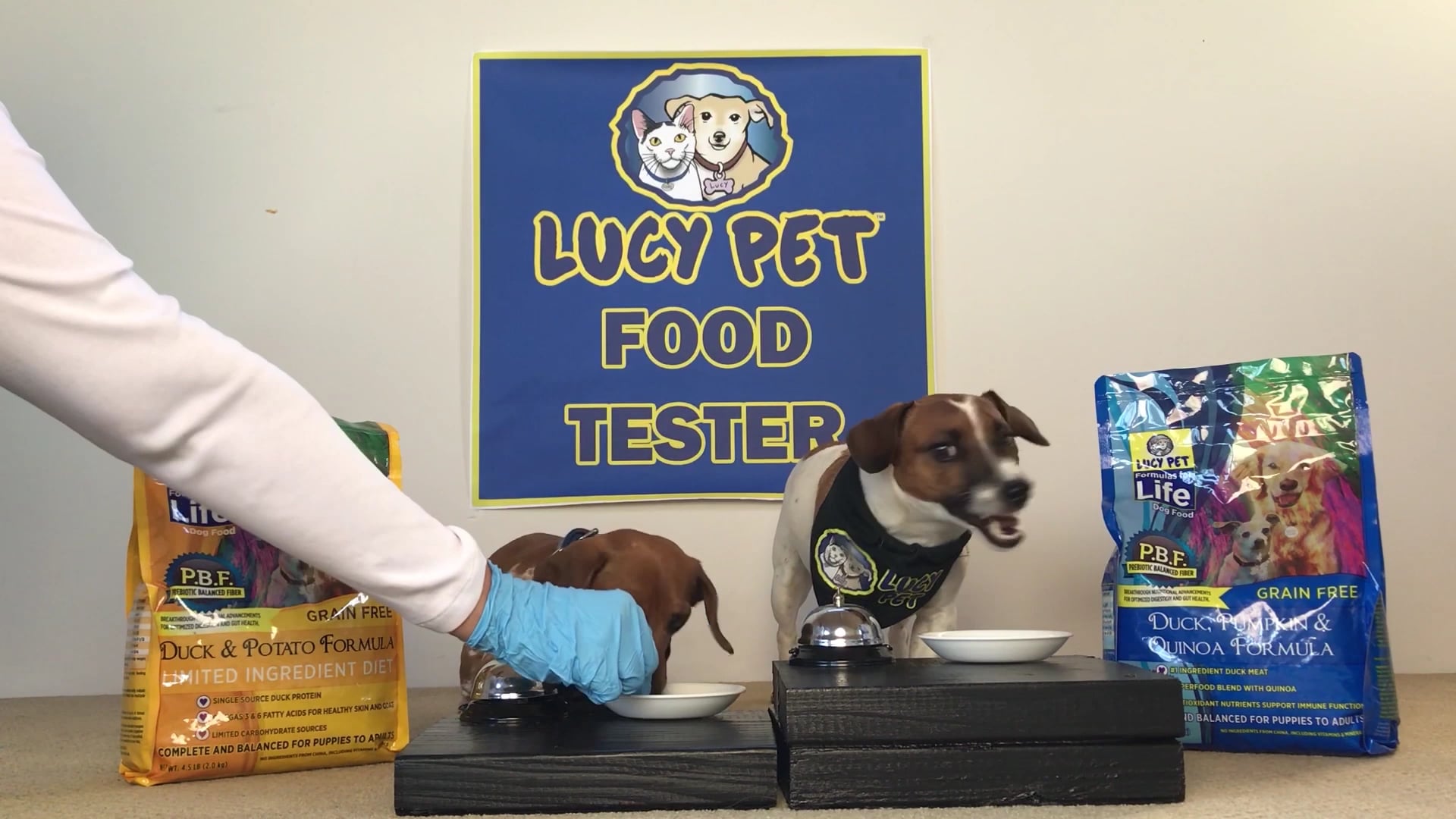 Lucy Pet Formulas for Life Dog Food Taste Test on Vimeo