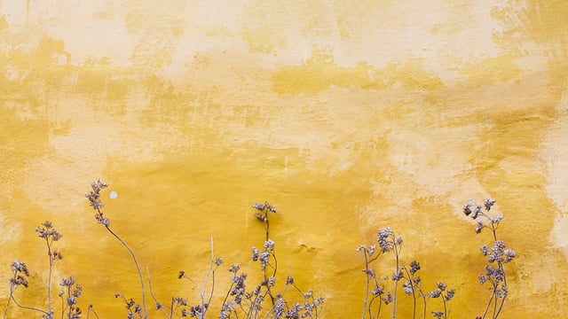 10 Was erreichen wir mit den 6 Minuten Übungen?