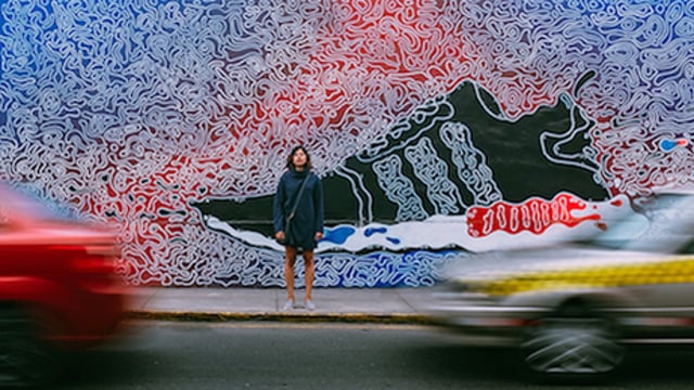 11 Die Kraft der Imagination