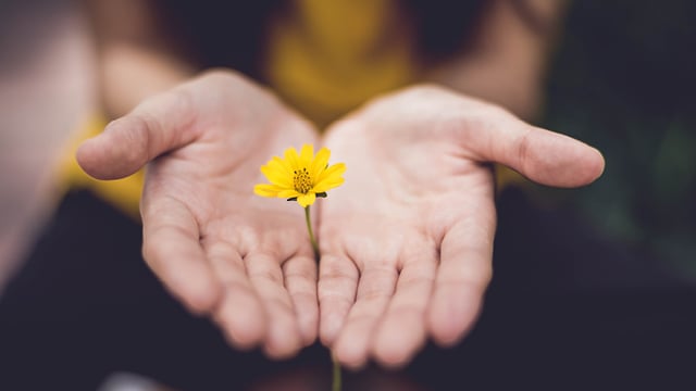 13 Was bin ich bereit einzubringen?