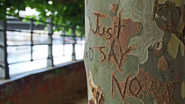 20 Ich lerne liebevoll Nein zu sagen