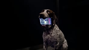 Starwood Hotels and Resorts - Customer Success Story