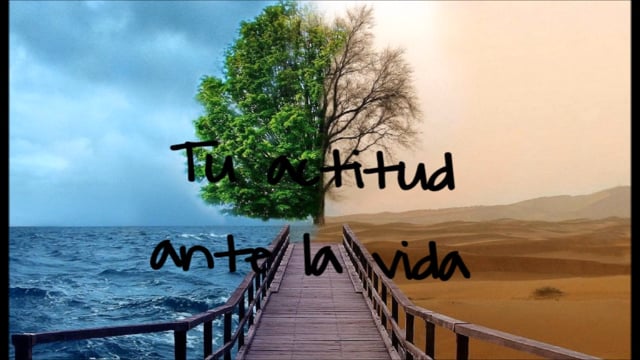 Tu actitud ante la vida
