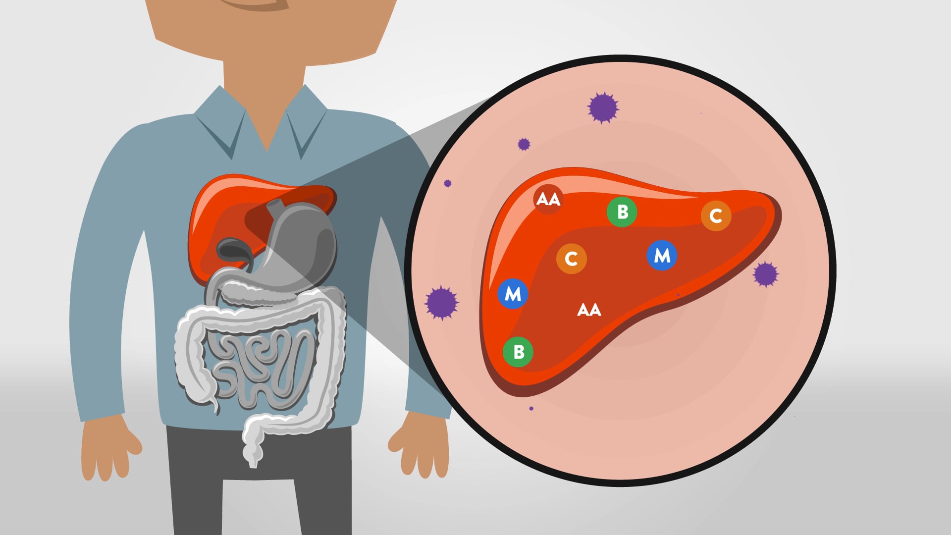 Pillars of GI Health Patient Education Video