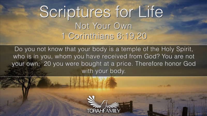 Not Your Own 1 Corinthians 6 19 Torah Family