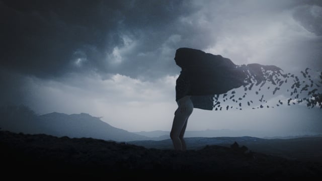 You won’t stop me video preview
