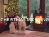 Christmas morning with Murphy and Billy-LR