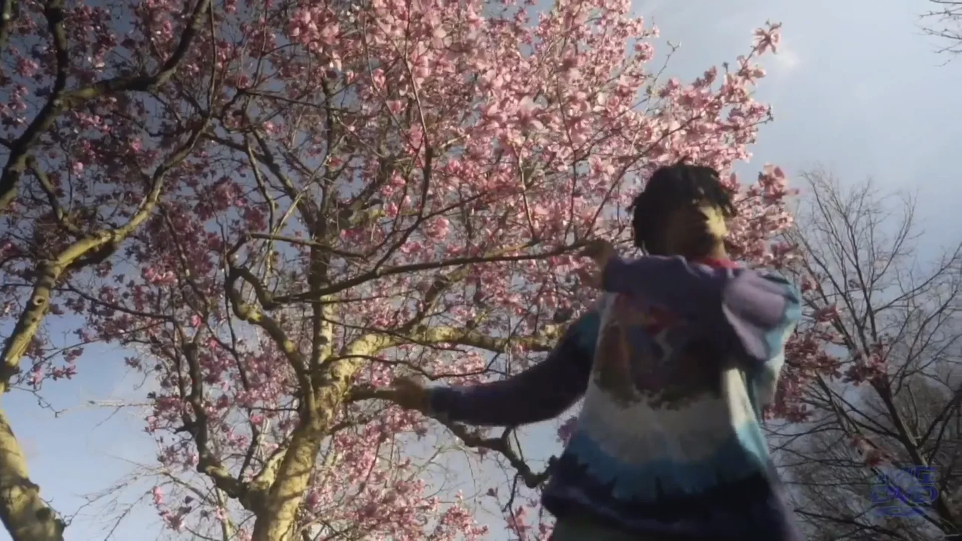 Playboi Carti Rocks a Sidewalk in the 'Lookin” Video with Lil Uzi Vert