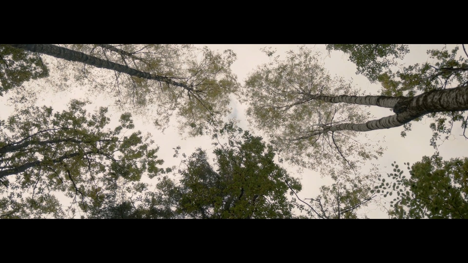 Skandinavisk - Sense Of Scandinavia (director´s cut)