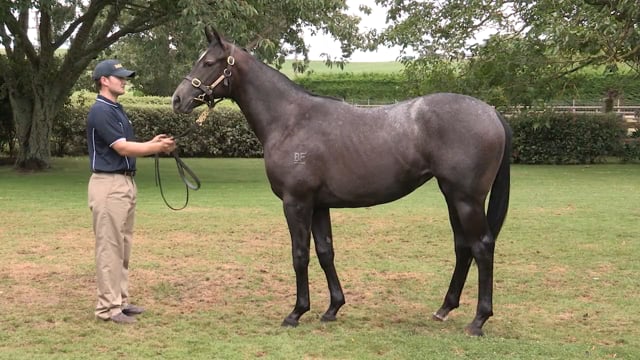 Lot 1091