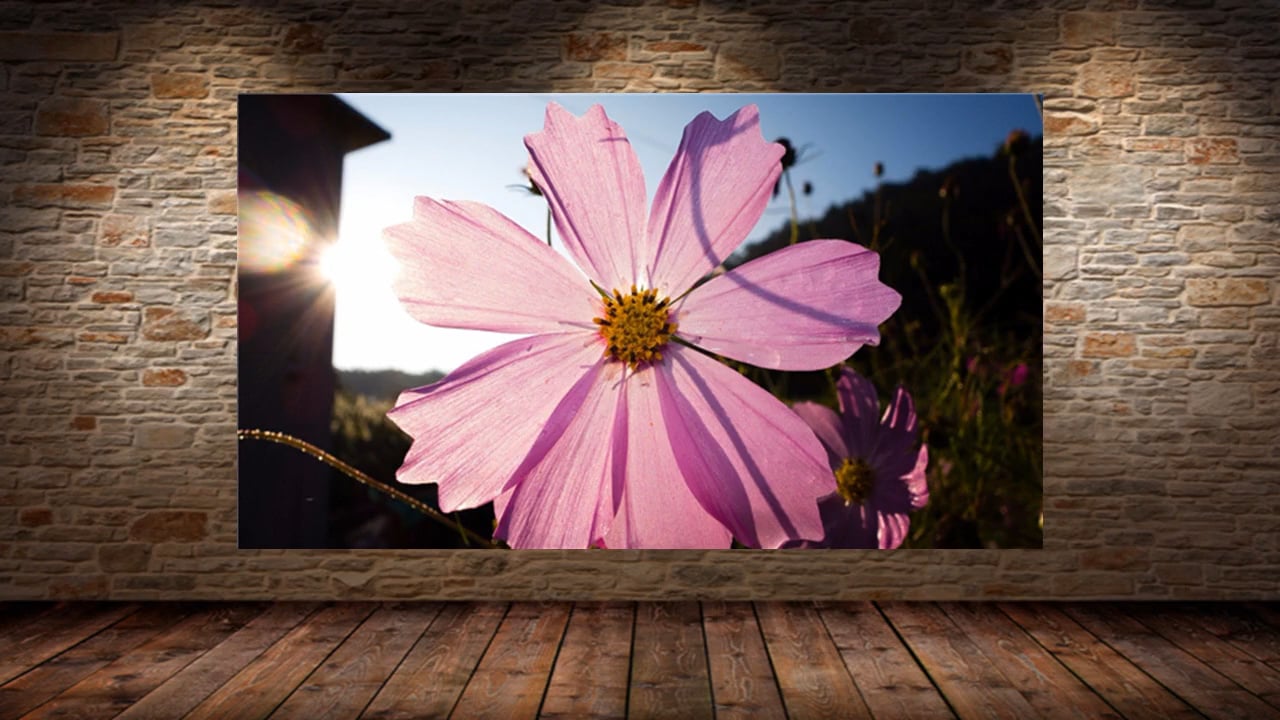 My Weather Station Advert On Vimeo