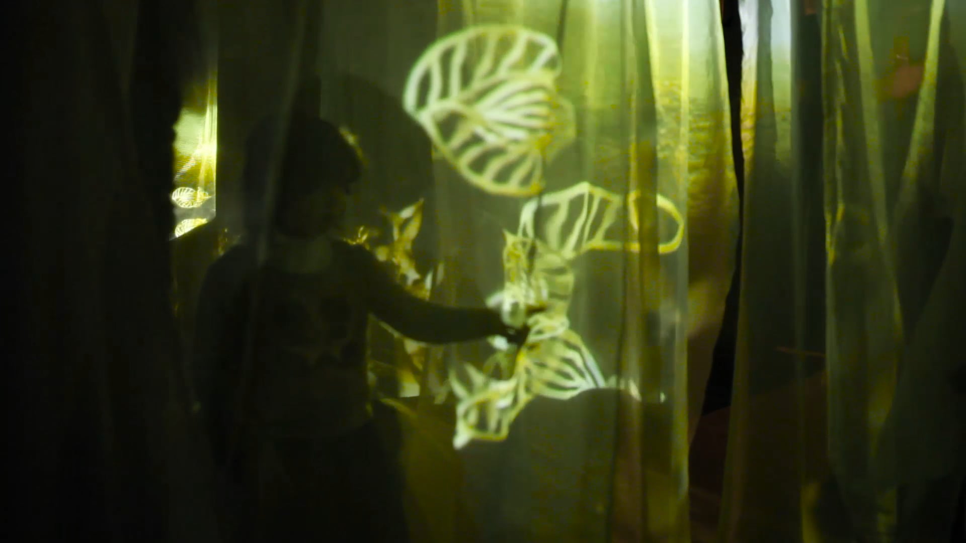 mutate_locate  - generative immersive installation