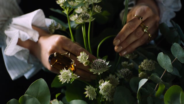 Related Embedded Video Item Thumbnail