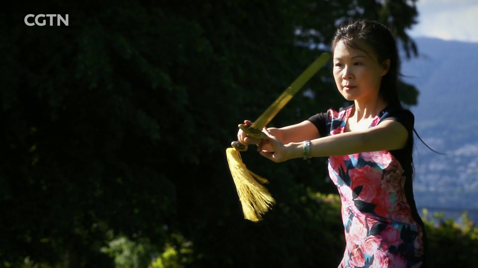 Love and Wushu