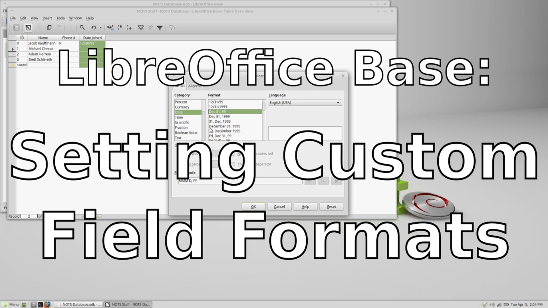 Setting Custom Field Formats in LibreOffice Base
