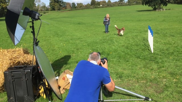 Fitz All Media - Customer Success Story