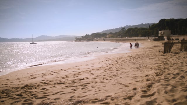 Related Embedded Video Item Thumbnail