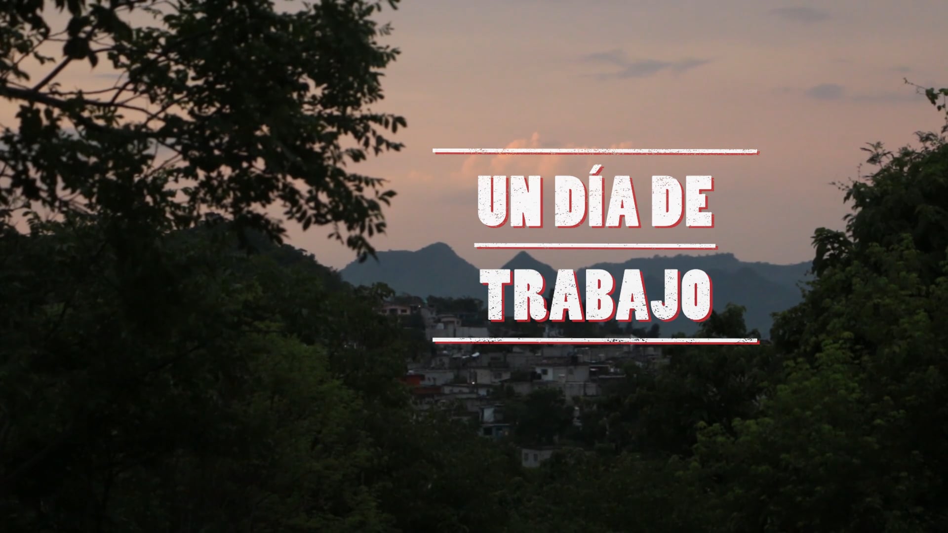 Un Día de Trabajo. Coyolillo.