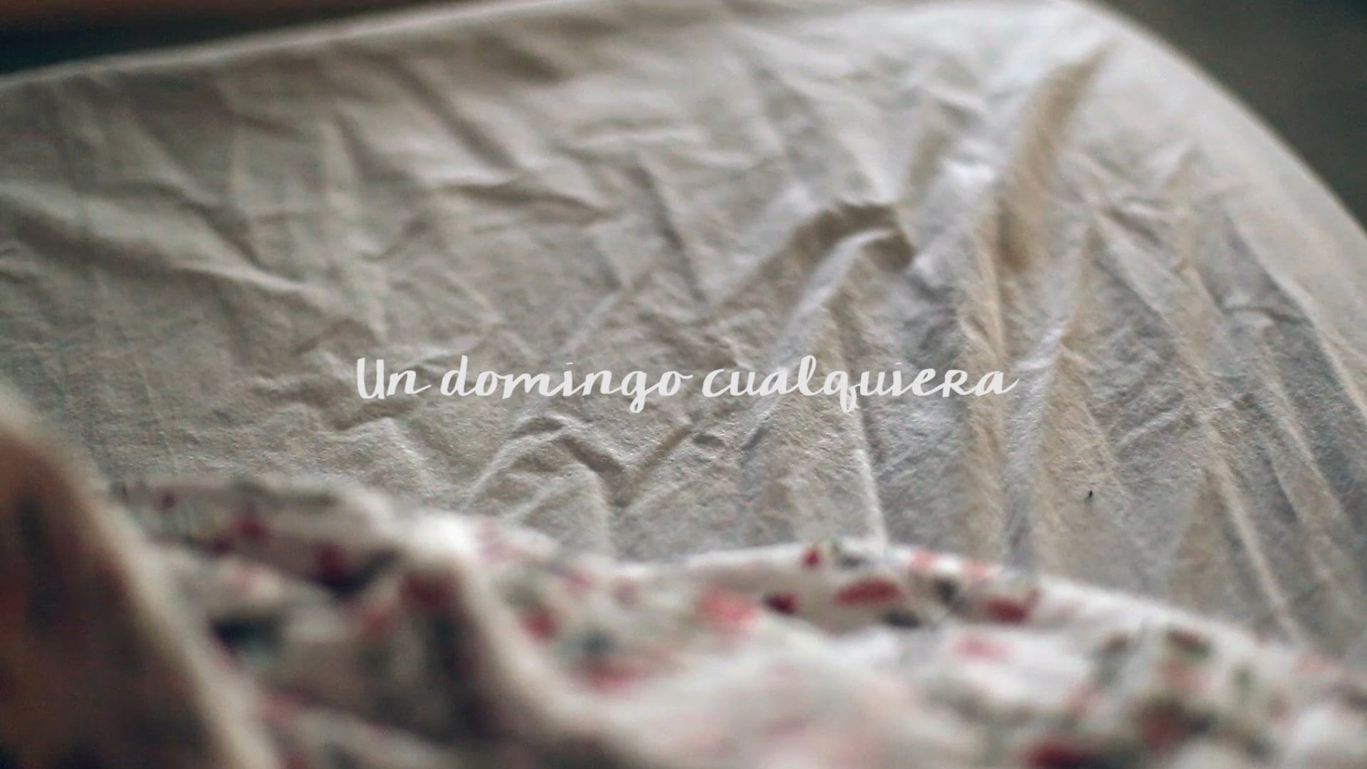 Todos los videos