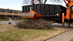 How to Dispose of Curbside Brush