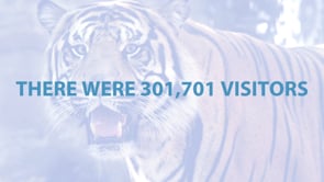 Did You Know - Museums Visitors
