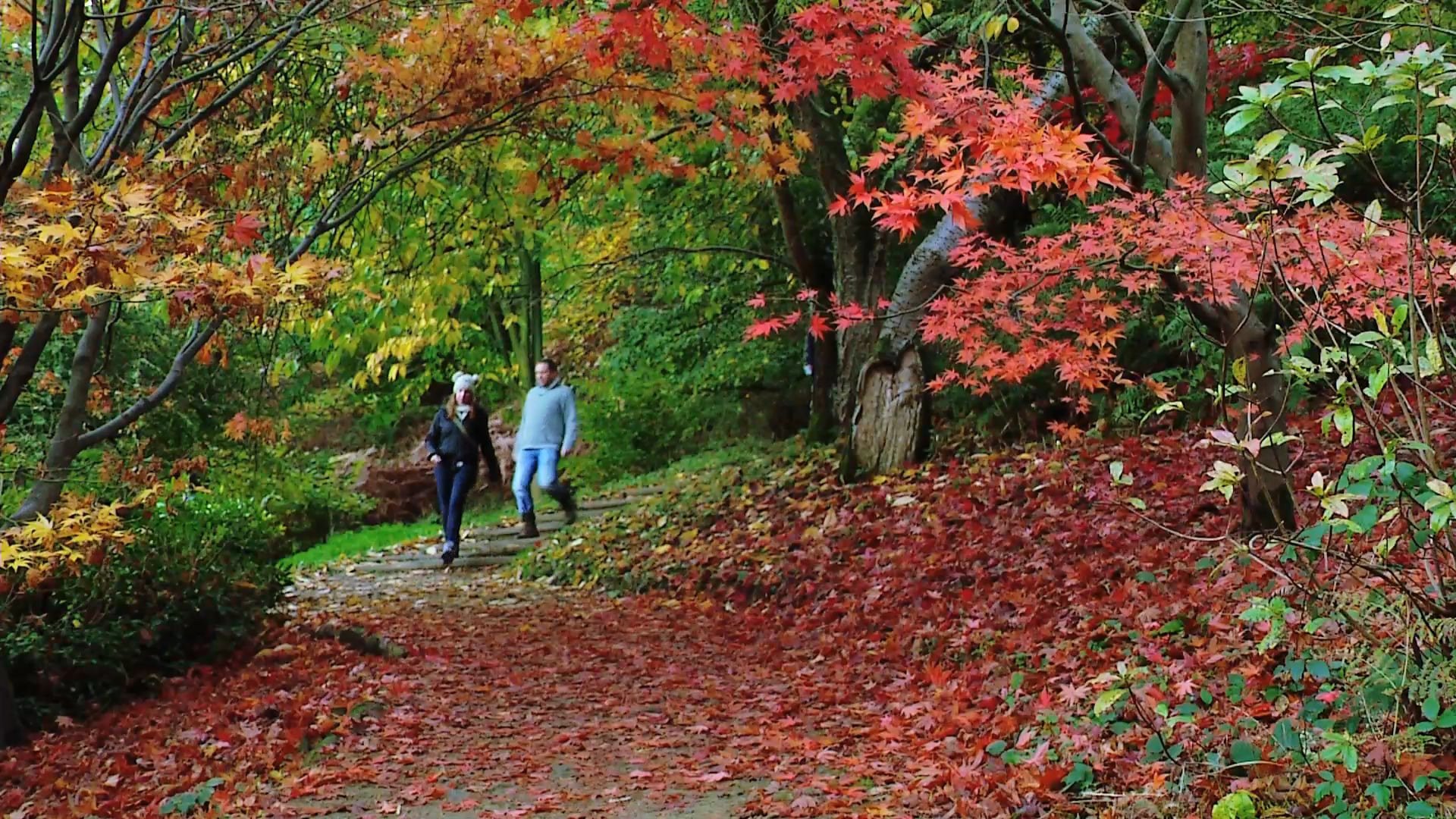 National Trust Promotional Video on Vimeo