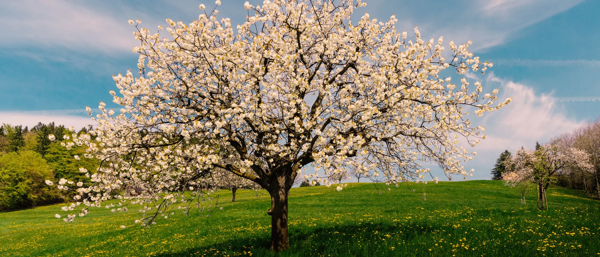 Lebensraum Vorarlberg - Frühling 2016 on Vimeo