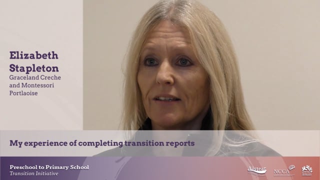 My experience of completing transition reports