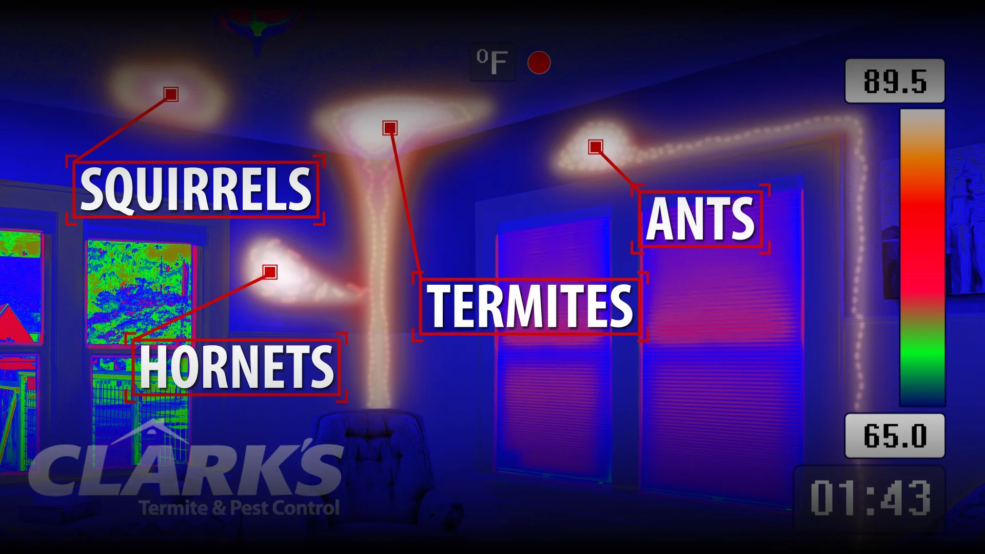 Video Production Clark's Termite and Pest Control Trade Show Video