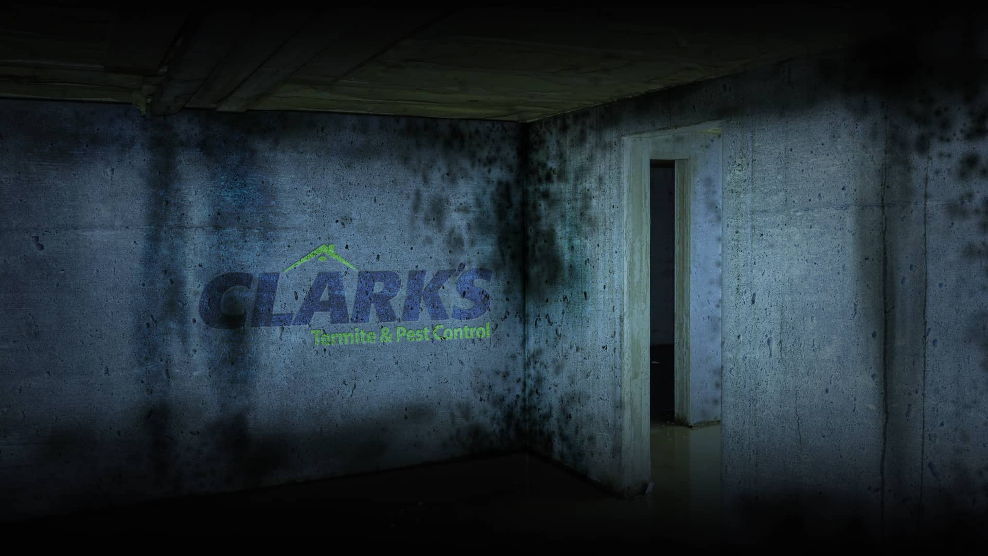 Clark's Termite and Pest Control Trade Show Video Mold on Vimeo