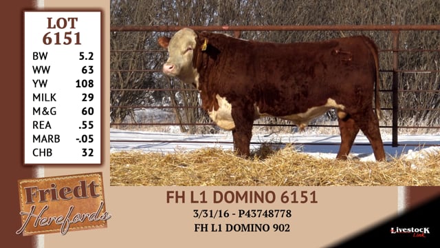 Lot #6151 - FH L1 DOMINO 6151