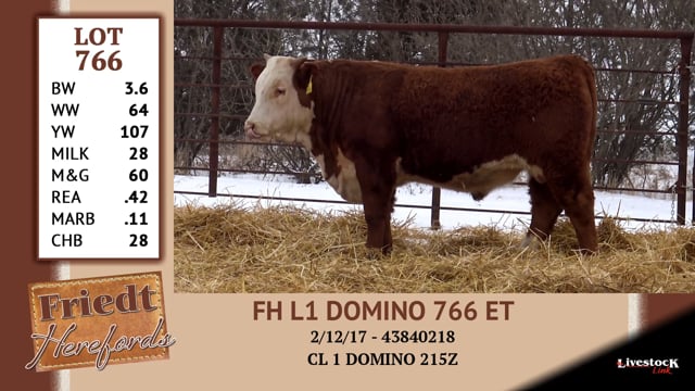 Lot #766 - FH L1 DOMINO 766 ET