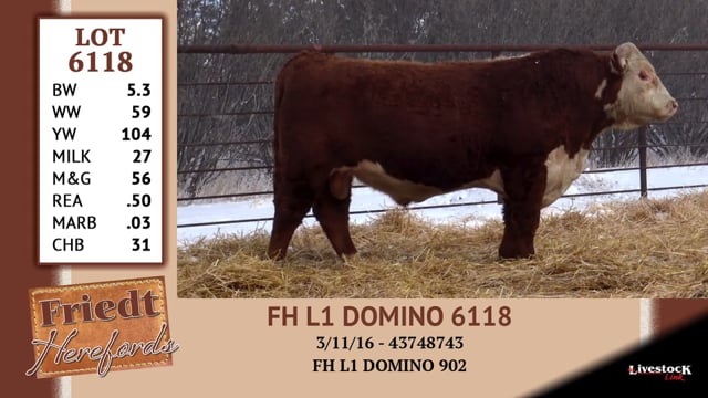 Lot #6118 - FH L1 DOMINO 6118
