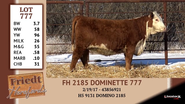 Lot #777 - FH 2185 MDOMINETTE 777