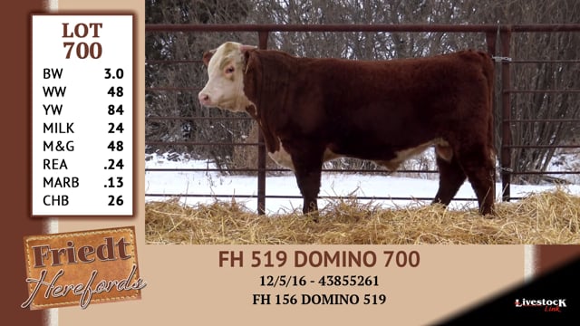 Lot #700 - FH 519 DOMINO 700