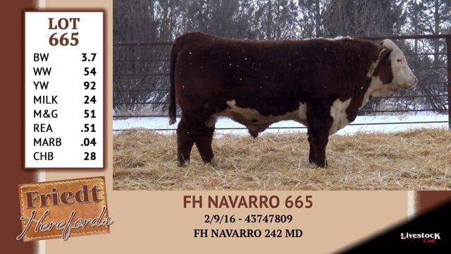 Lot #665 - FH NAVARRO 665