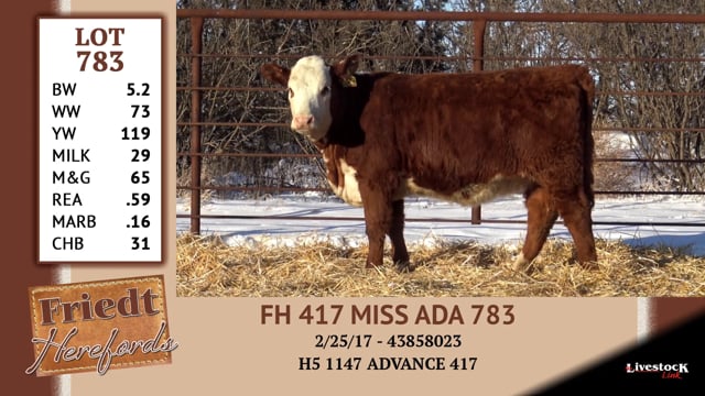Lot #783 - FH 417 MISS ADA 783