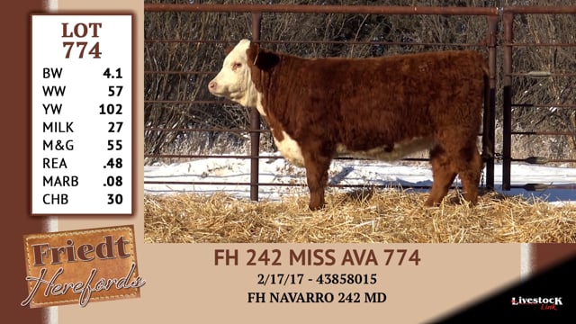 Lot #774 - FH 2442 MISS AVA 774