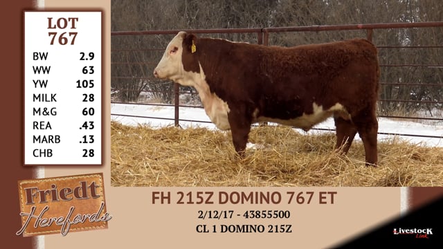 Lot #767 - FH L1 DOMINO 767 ET