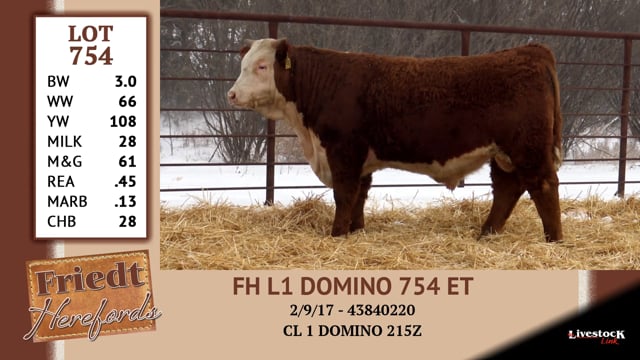 Lot #754 - FH L1 DOMINO 754 ET