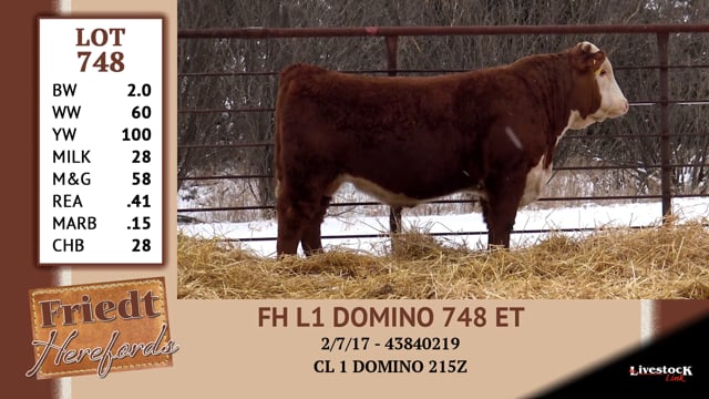 Lot #748 - FH L1 DOMINO 748 ET