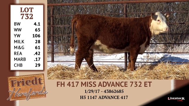 Lot #732 - FH 417 MISS ADVANCE 732 ET